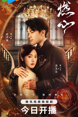 霹雳娇娃2
